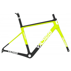 ENDURA ICR Spider